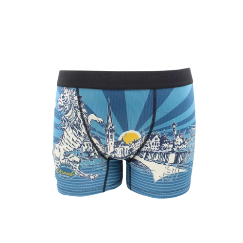 Boxer Homme Zurich